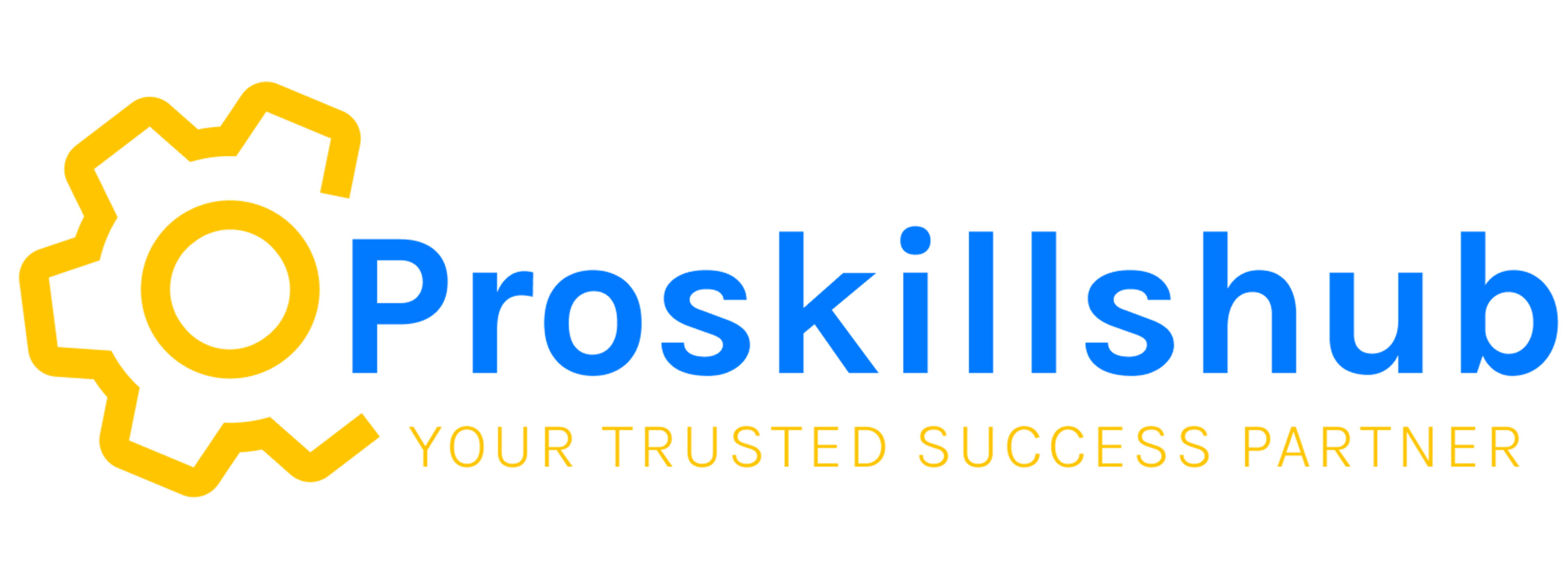 Proskillshub