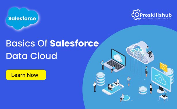 Salesforce Data Cloud
