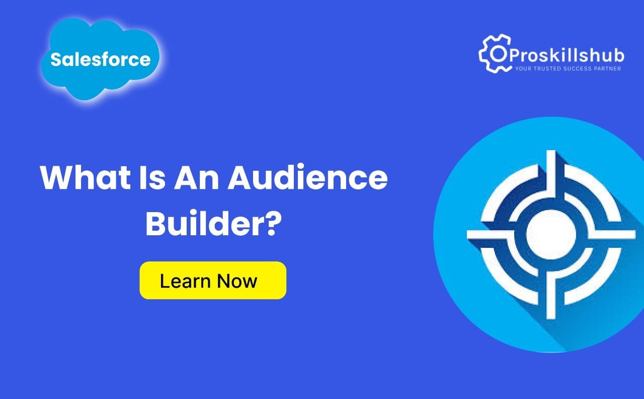 What is an Audience Builder