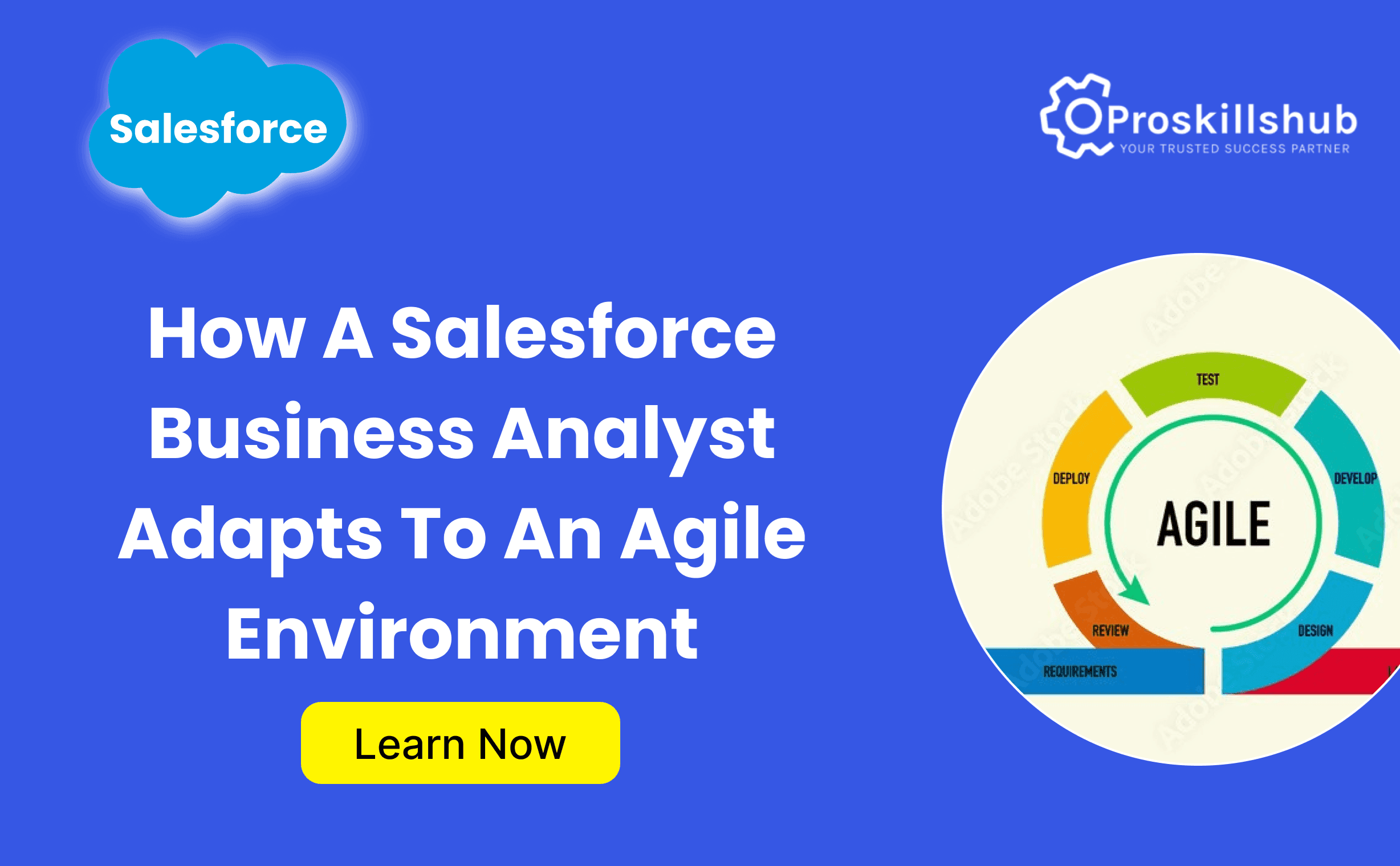 Salesforce Business Analyst